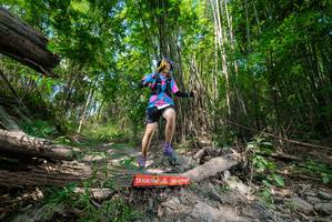 BIB: 
                            <button type="button" onclick="openModal(19393460)" class="btn btn-primary btn-sm float-right btn-popup" data-toggle="modal" data-target=".modal-high-quality">
                        <i class="fas fa-shopping-cart"></i> Add to Cart
                    </button>
                                            <button type="button" onclick="isThisMe(19393460, true)" class="btn btn-success btn-sm float-right btn-popup btn-isme hidden" data-toggle="tooltip" data-placement="bottom" title="นี่คือรูปของคุณใช่ไหม คลิกที่นี่เพื่อเอาเข้าอัลบั้ม">
                        <i class="fas fa-plus"></i> Add to album
                    </button>
                    <button type="button" onclick="isThisMe(19393460, false)" class="btn btn-warning btn-sm float-right btn-popup btn-isnotme hidden">
                        <i class="fas fa-ban"></i> Remove from album
                    </button>